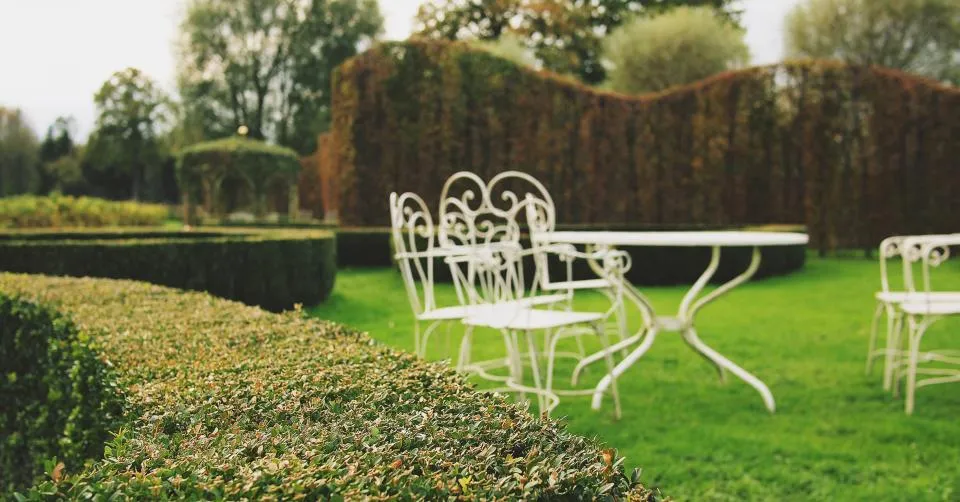 Manicured garden hedges and lawn